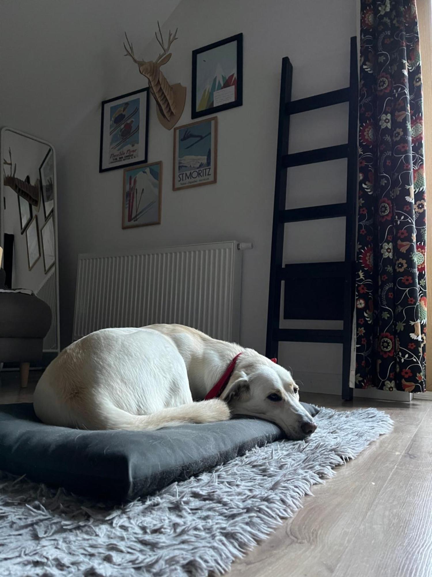 Folkowe Podgorze Apartament Szklarska Poręba